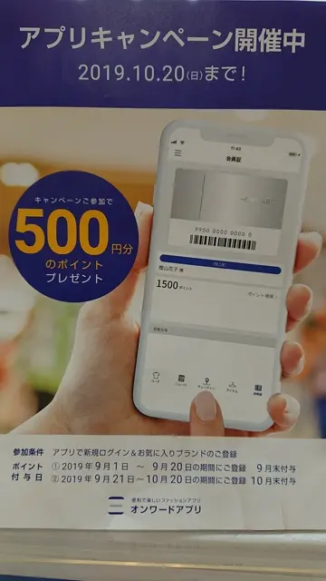 組曲 ウエノ コーディネート画像