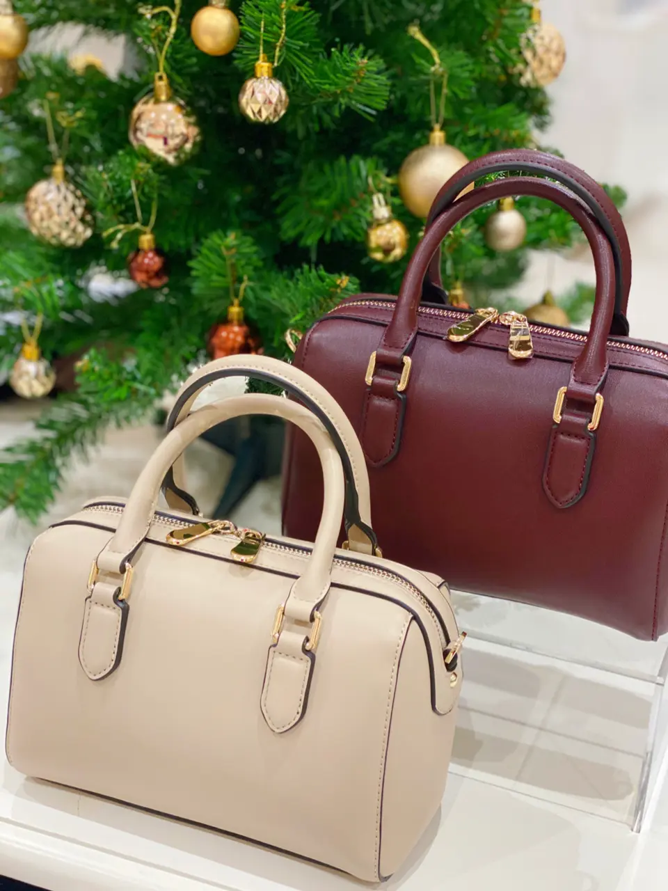 組曲 坂本 コーディネート画像