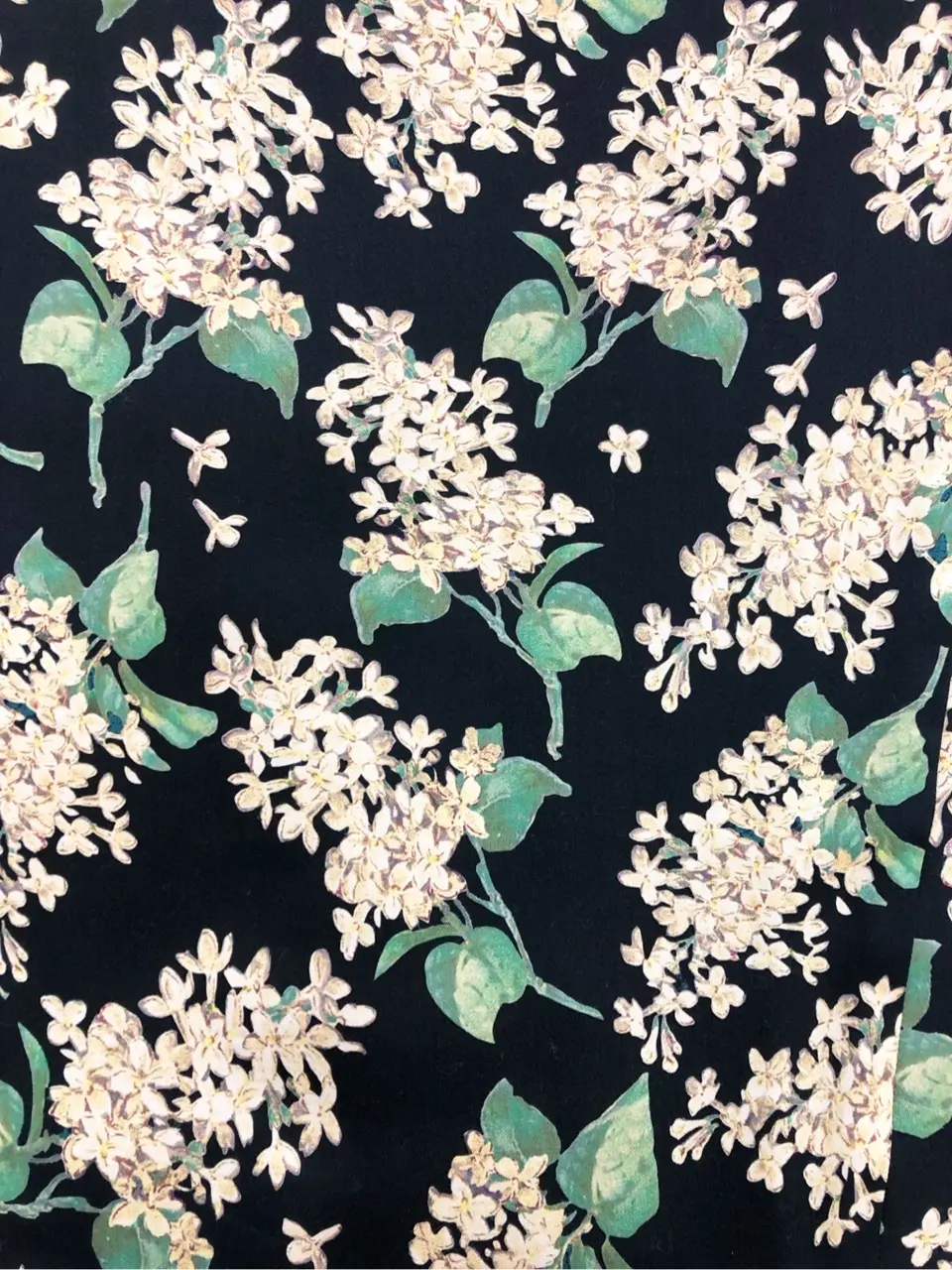 組曲 松田 コーディネート画像