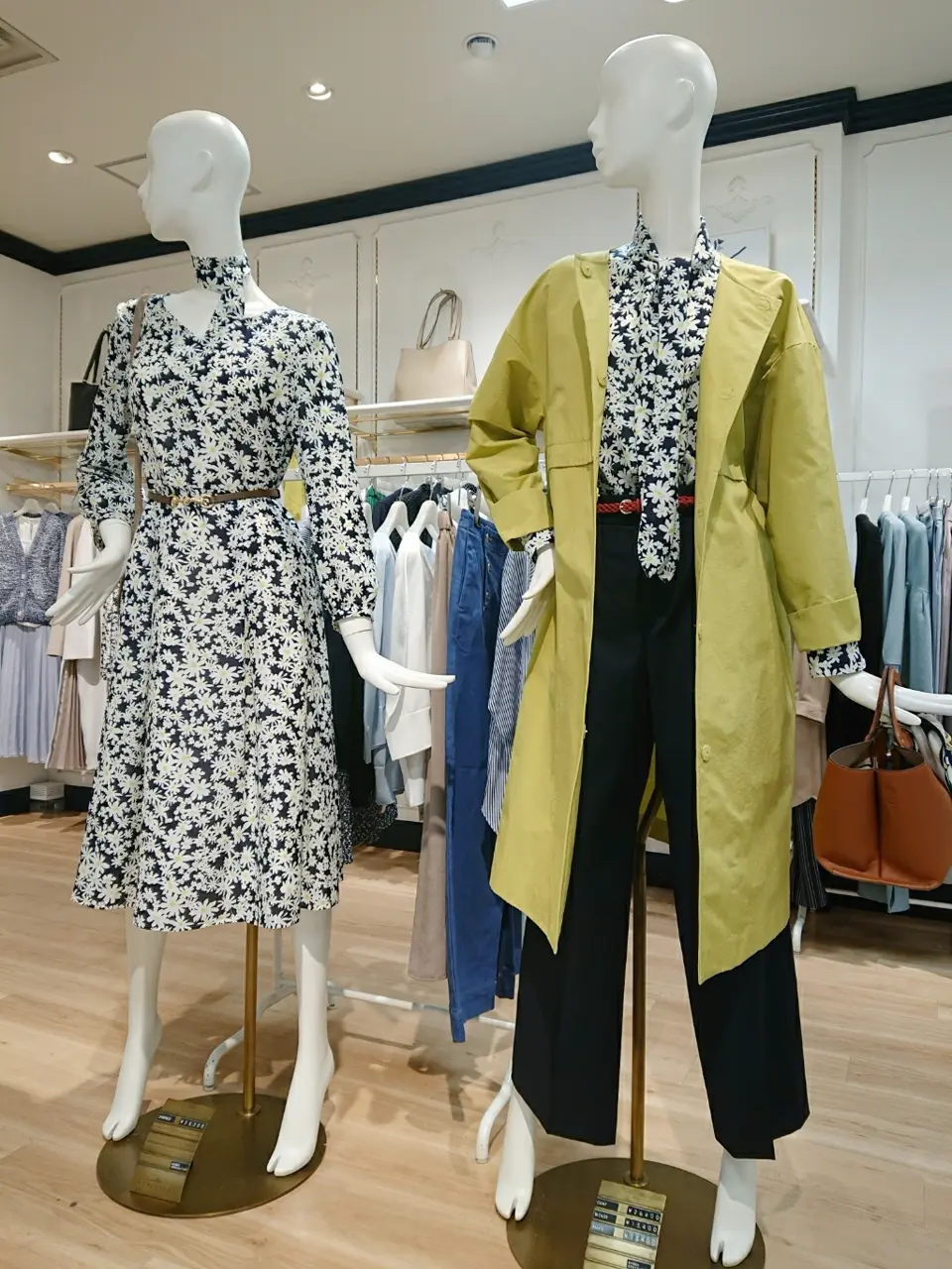 組曲 ウエノ コーディネート画像