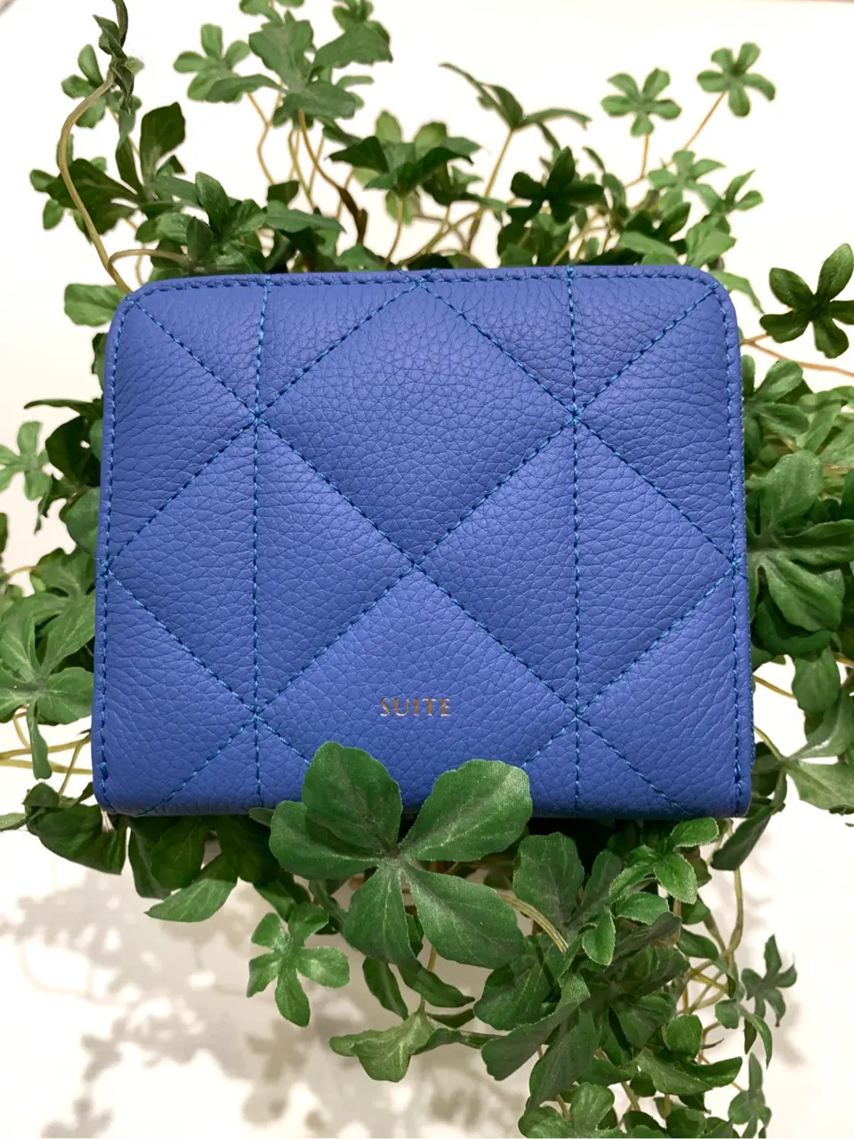 組曲 石井 コーディネート画像