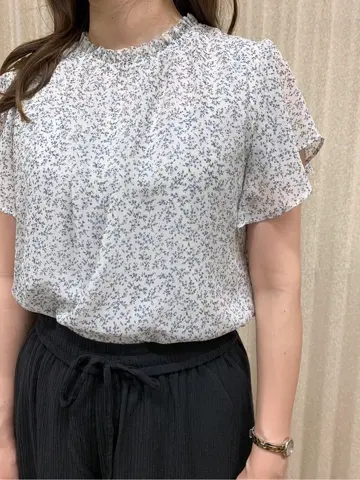 組曲 檀 コーディネート画像