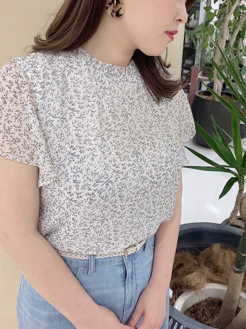 組曲 酒井 コーディネート画像