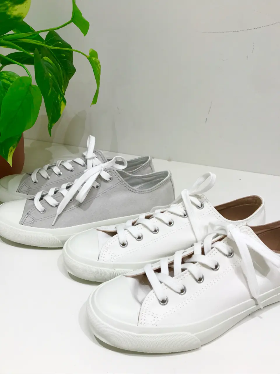 組曲 椛田 コーディネート画像