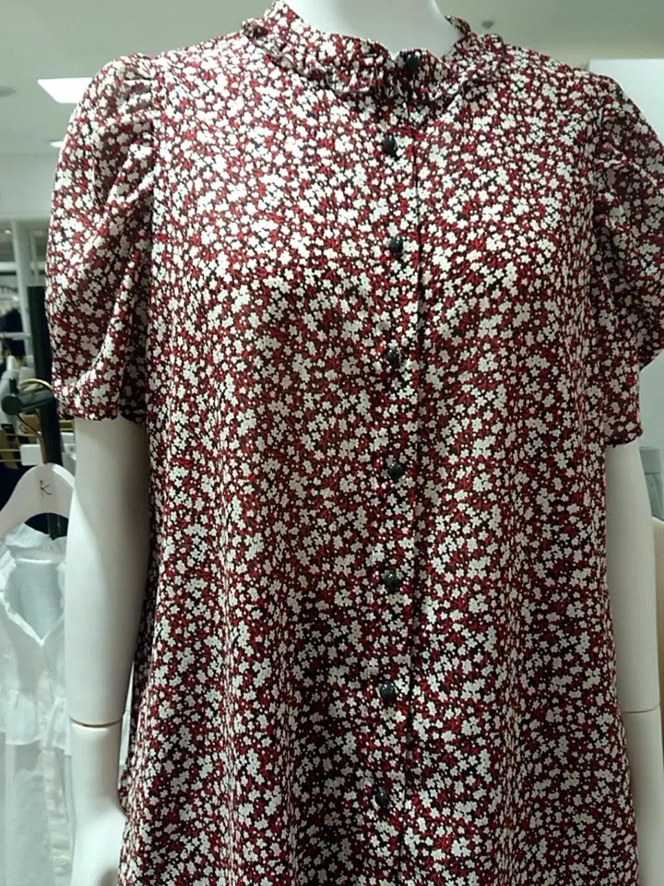 組曲 L 平良 コーディネート画像