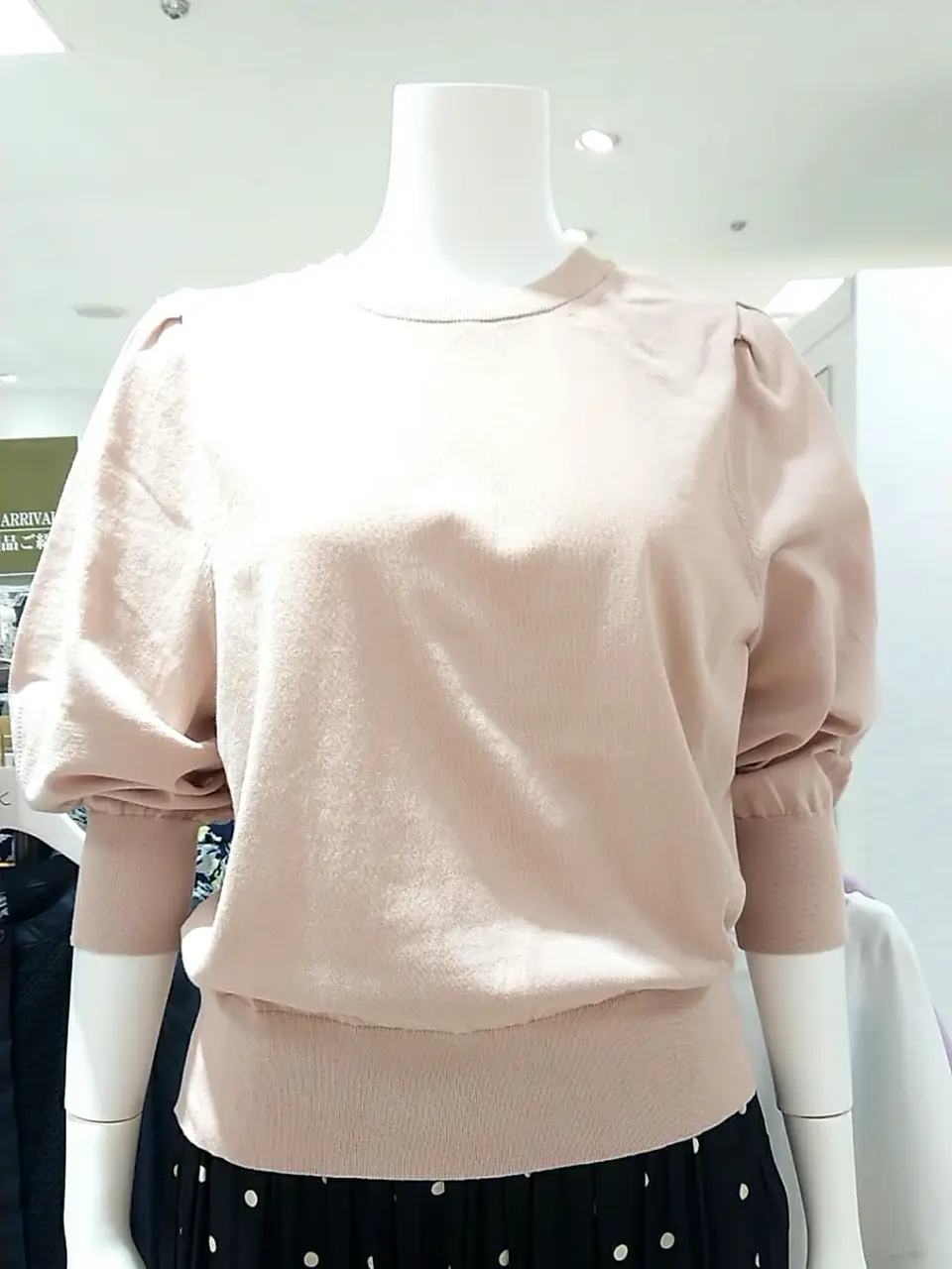 組曲 L 平良 コーディネート画像