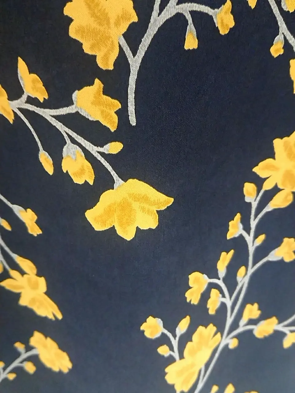 組曲 L 平良 コーディネート画像