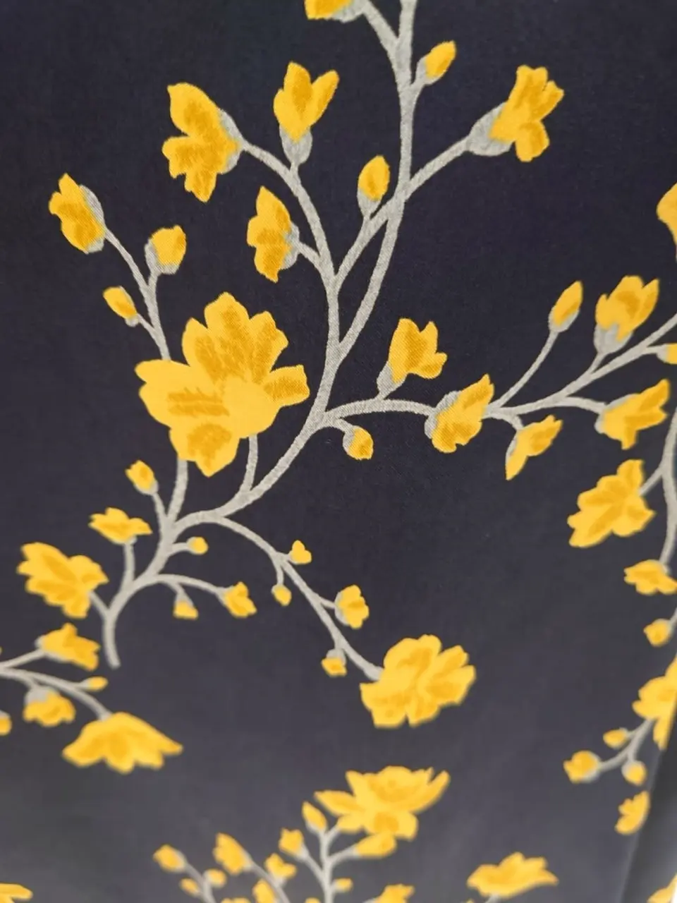 組曲 L 平良 コーディネート画像