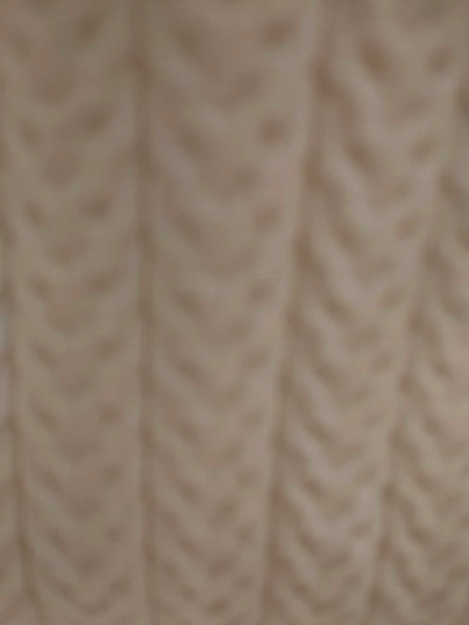 組曲 L 平良 コーディネート画像