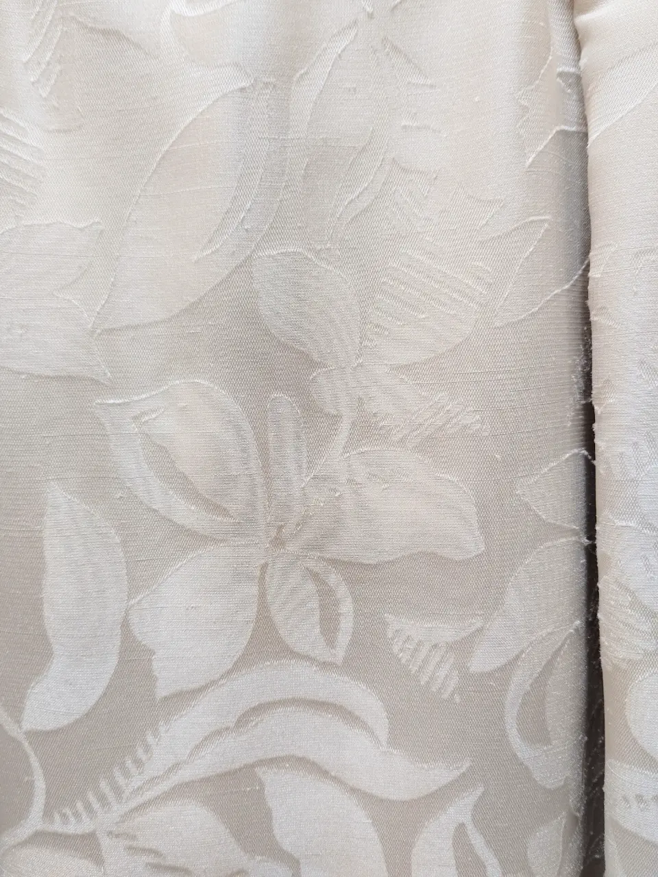 自由区 井上 コーディネート画像