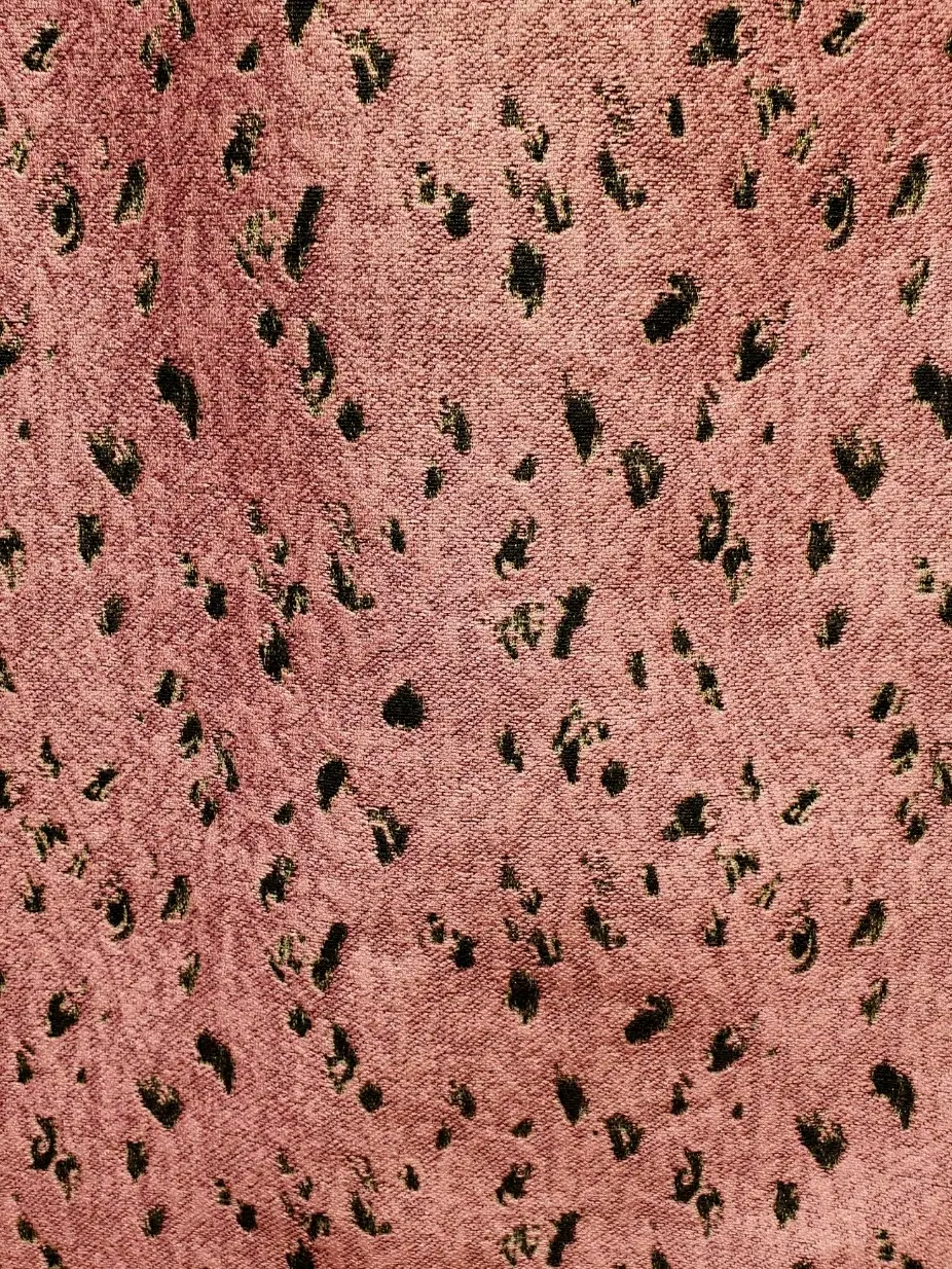 自由区 森崎 コーディネート画像