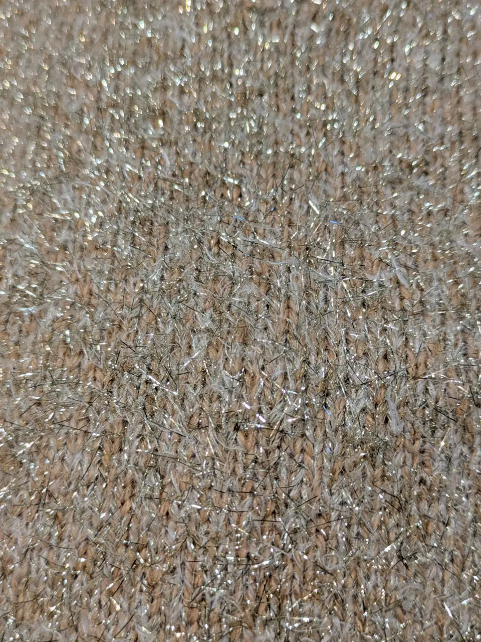 自由区 蛭田 コーディネート画像