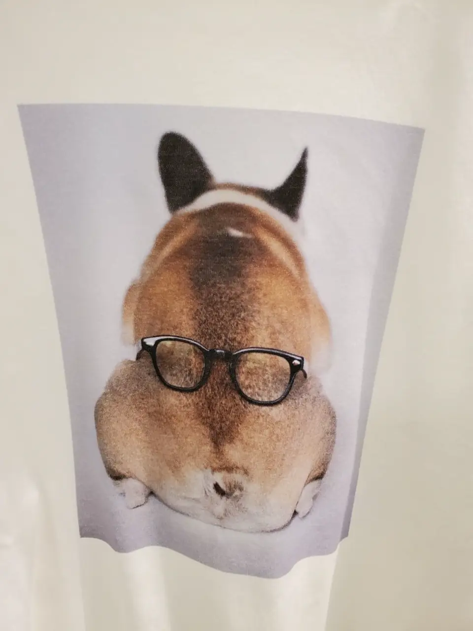 自由区 竹増 コーディネート画像