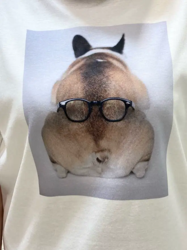 自由区 江川 コーディネート画像