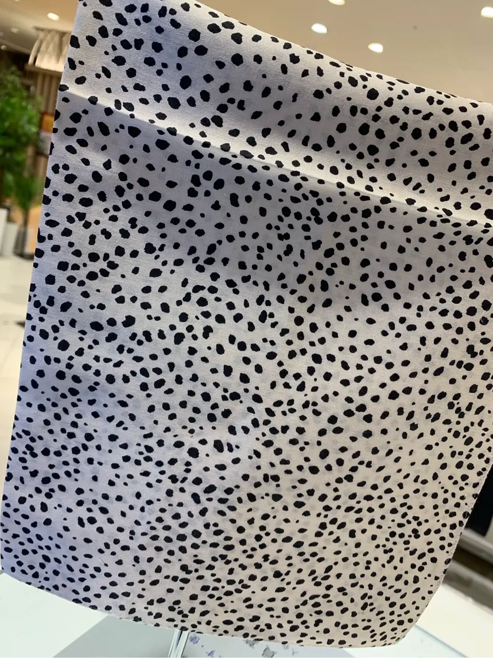 自由区 多田 コーディネート画像