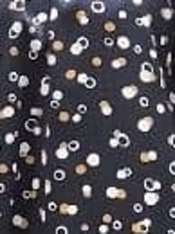 自由区 中村 コーディネート画像