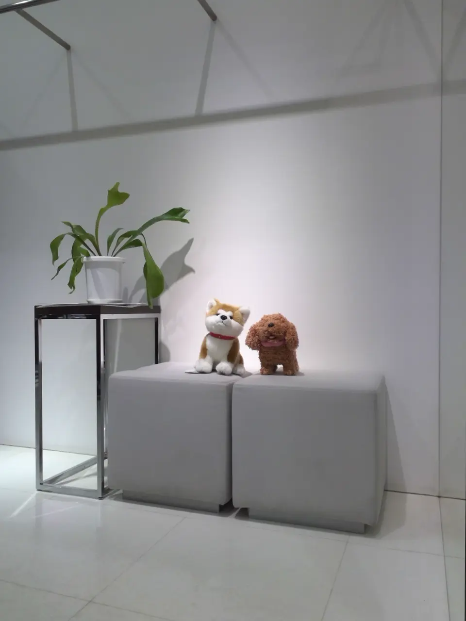 自由区 片岡 コーディネート画像