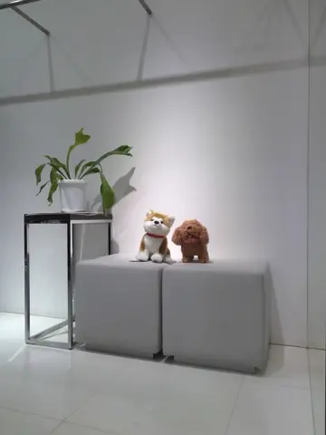 自由区 片岡 コーディネート画像