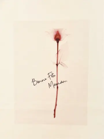 自由区 L スタッフ コーディネート画像