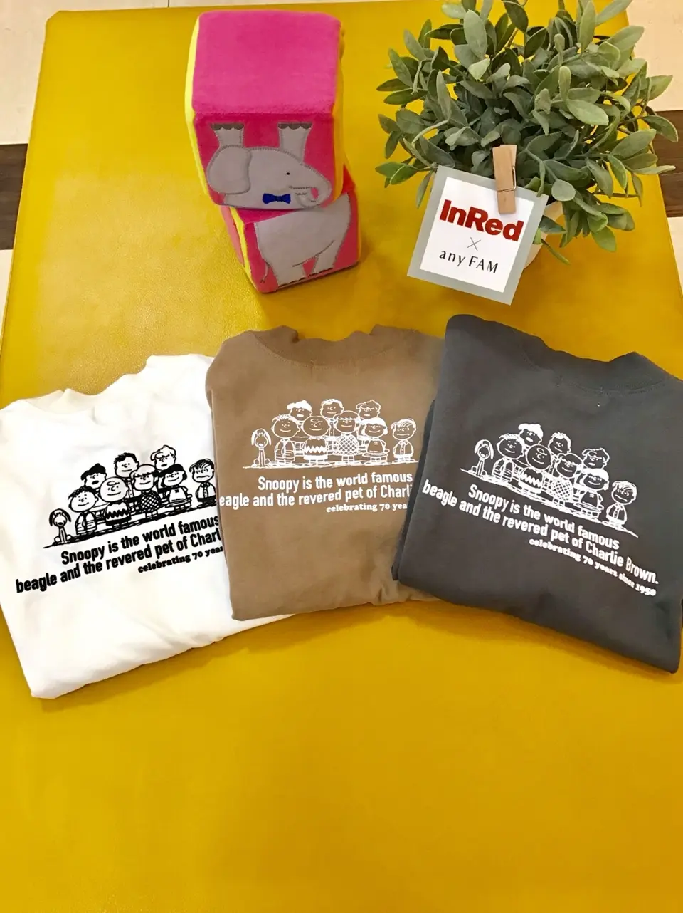 ANY スタッフ コーディネート画像