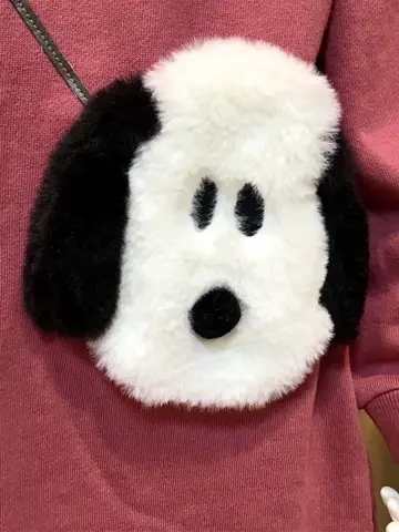 ANY 関 コーディネート画像