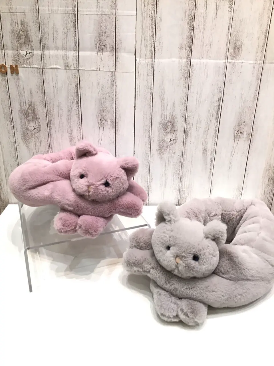 ANY 山口 コーディネート画像