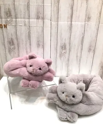 ANY 山口 コーディネート画像