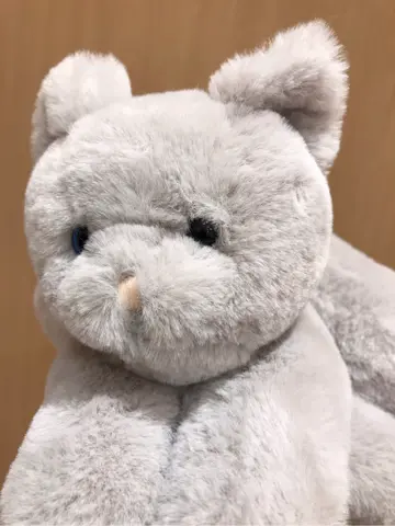 ANY 千葉 コーディネート画像