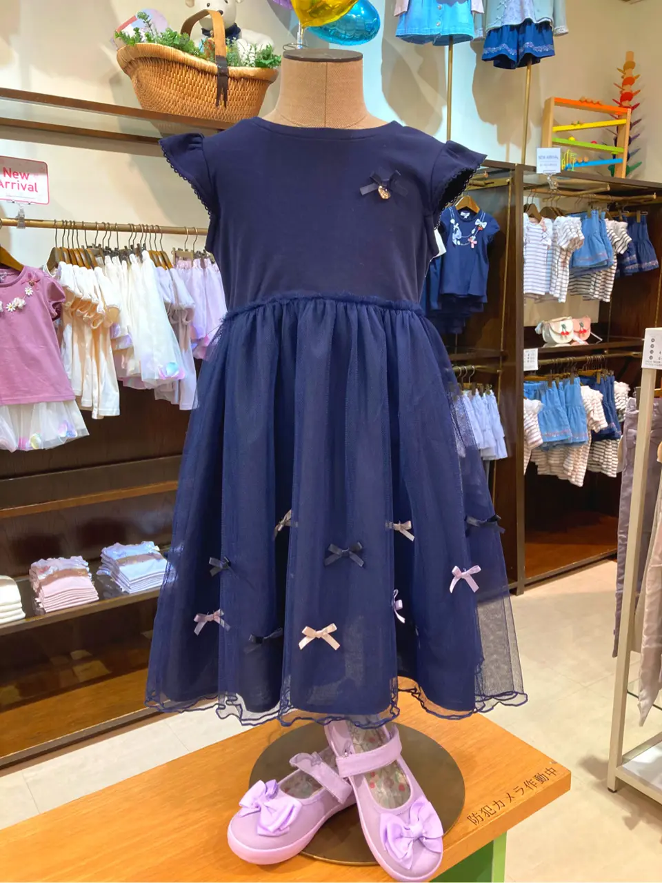 ANY 杉原 コーディネート画像