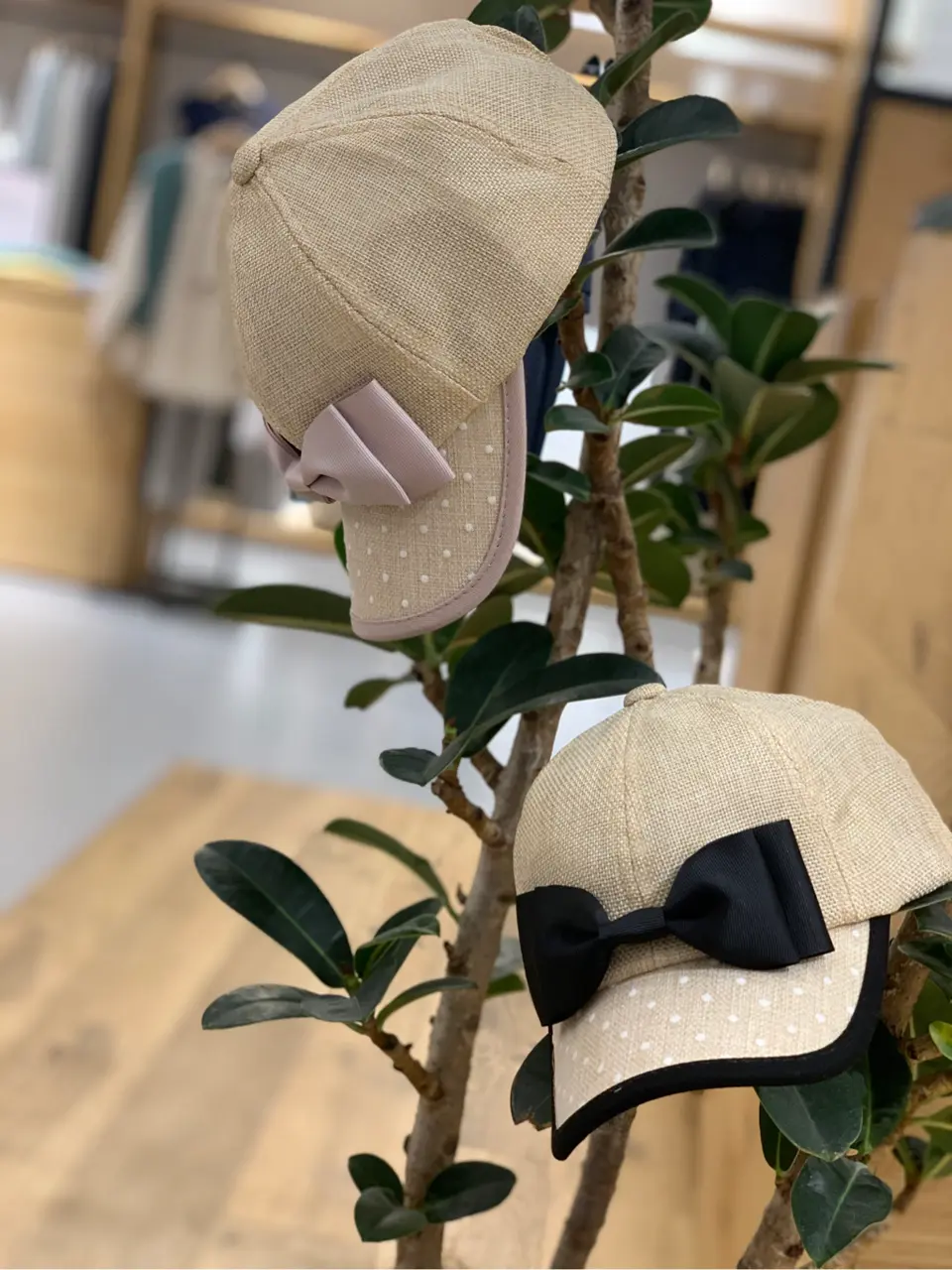  Y コーディネート画像