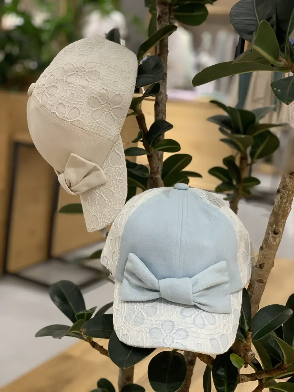  Y コーディネート画像