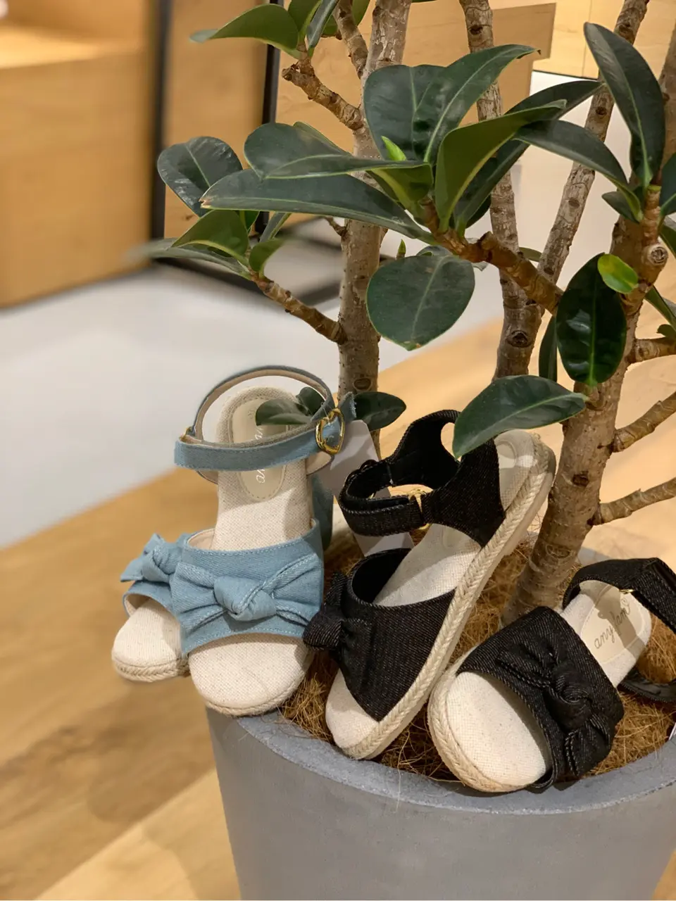  Y コーディネート画像