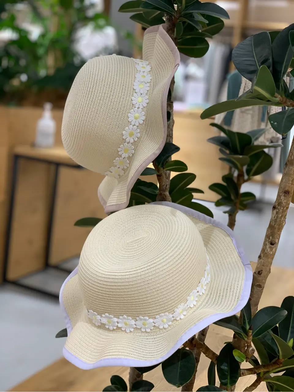  Y コーディネート画像