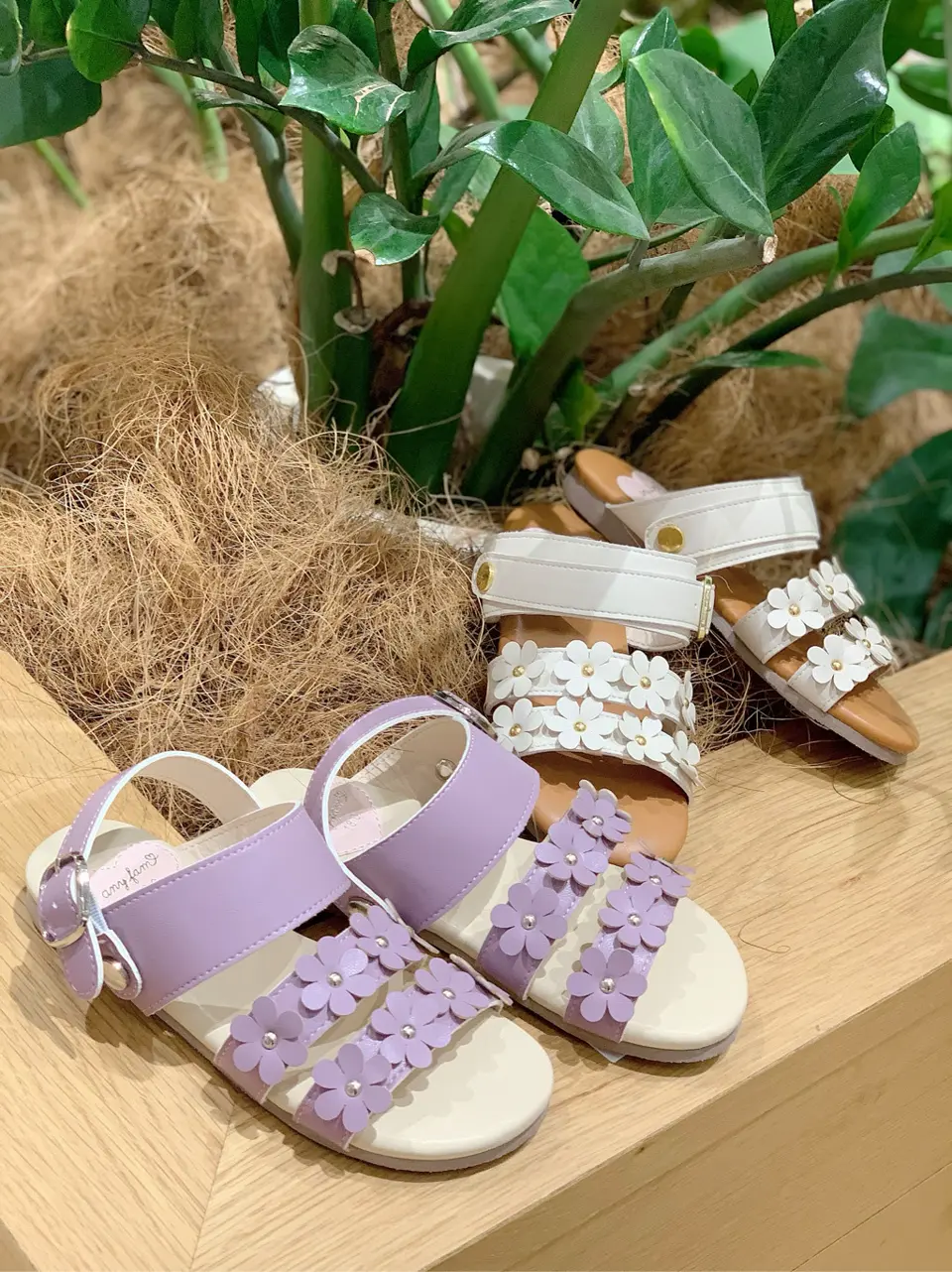  Y コーディネート画像