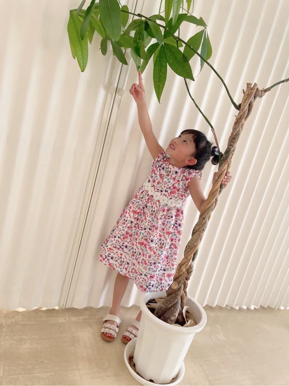 ANY 高橋 コーディネート画像