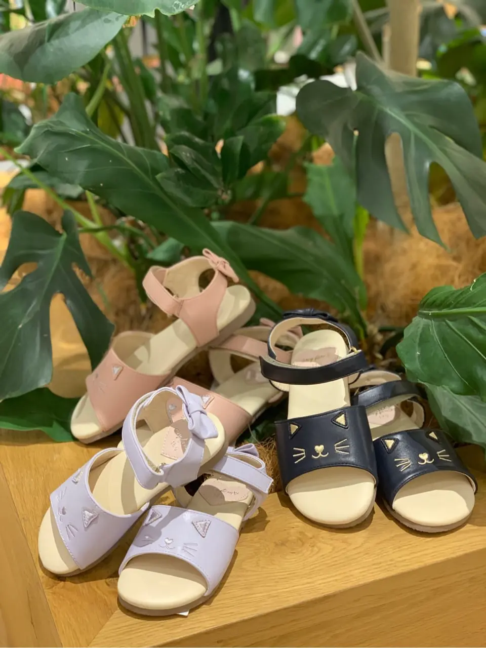  Y コーディネート画像