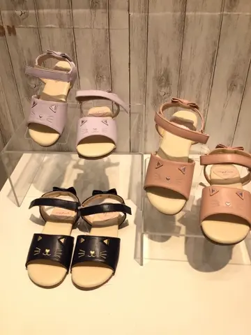 ANY 山口 コーディネート画像