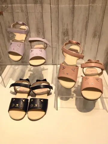 ANY 山口 コーディネート画像