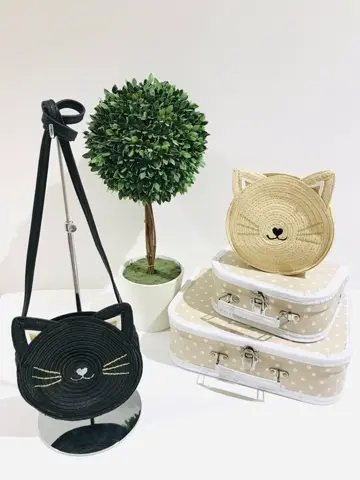 ANY 田口 コーディネート画像