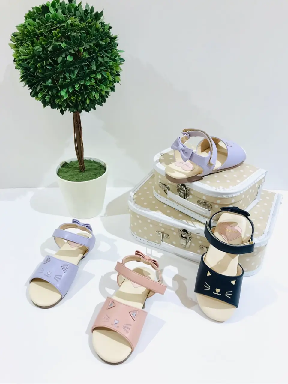 ANY 田口 コーディネート画像