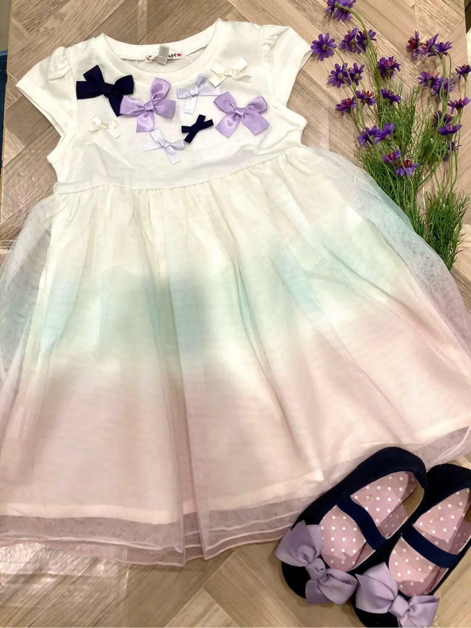 ANY 杉原 コーディネート画像