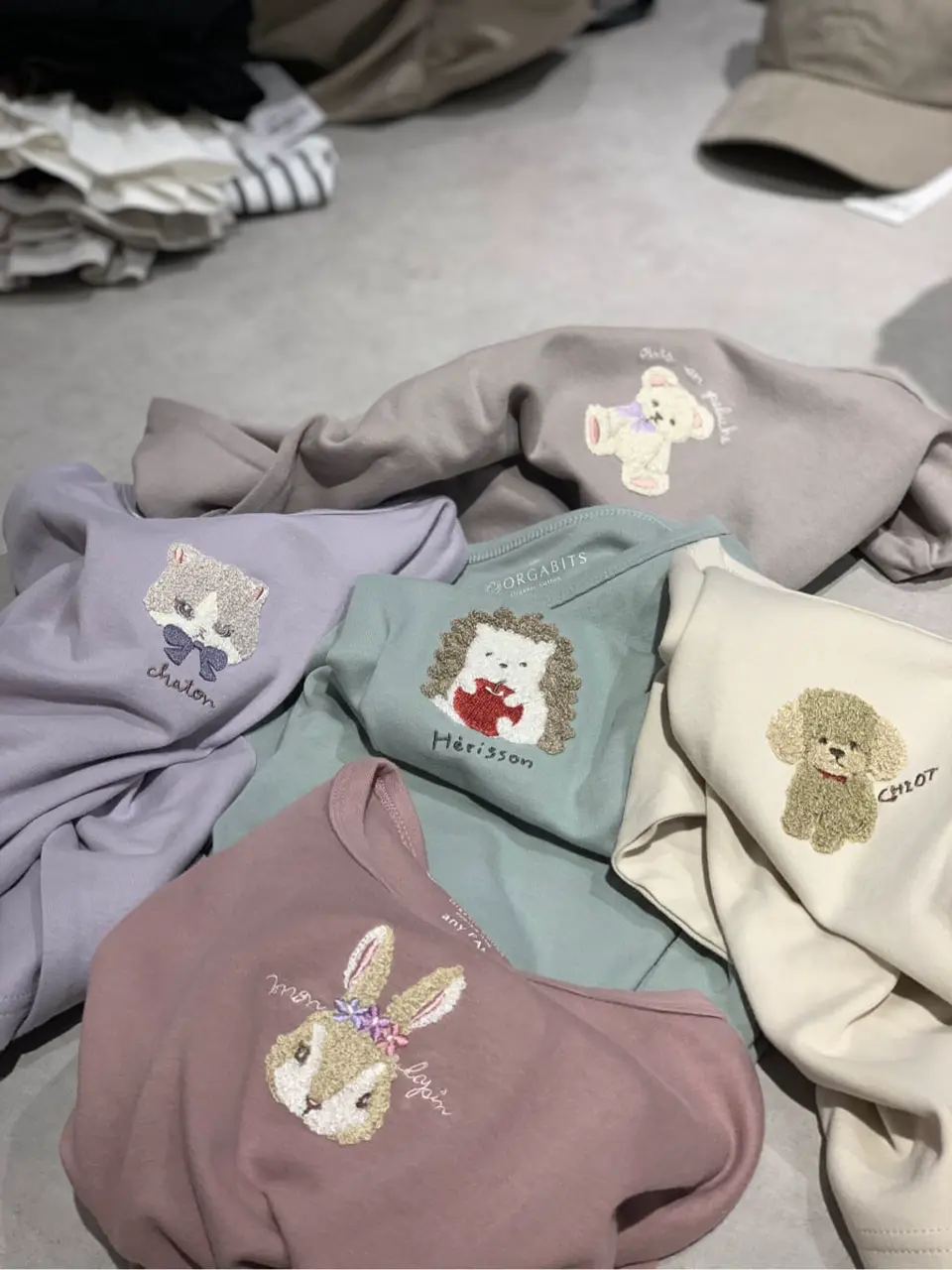  Y コーディネート画像