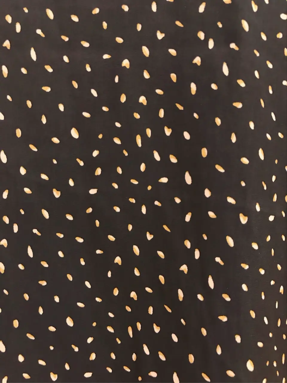 ANY 千葉 コーディネート画像