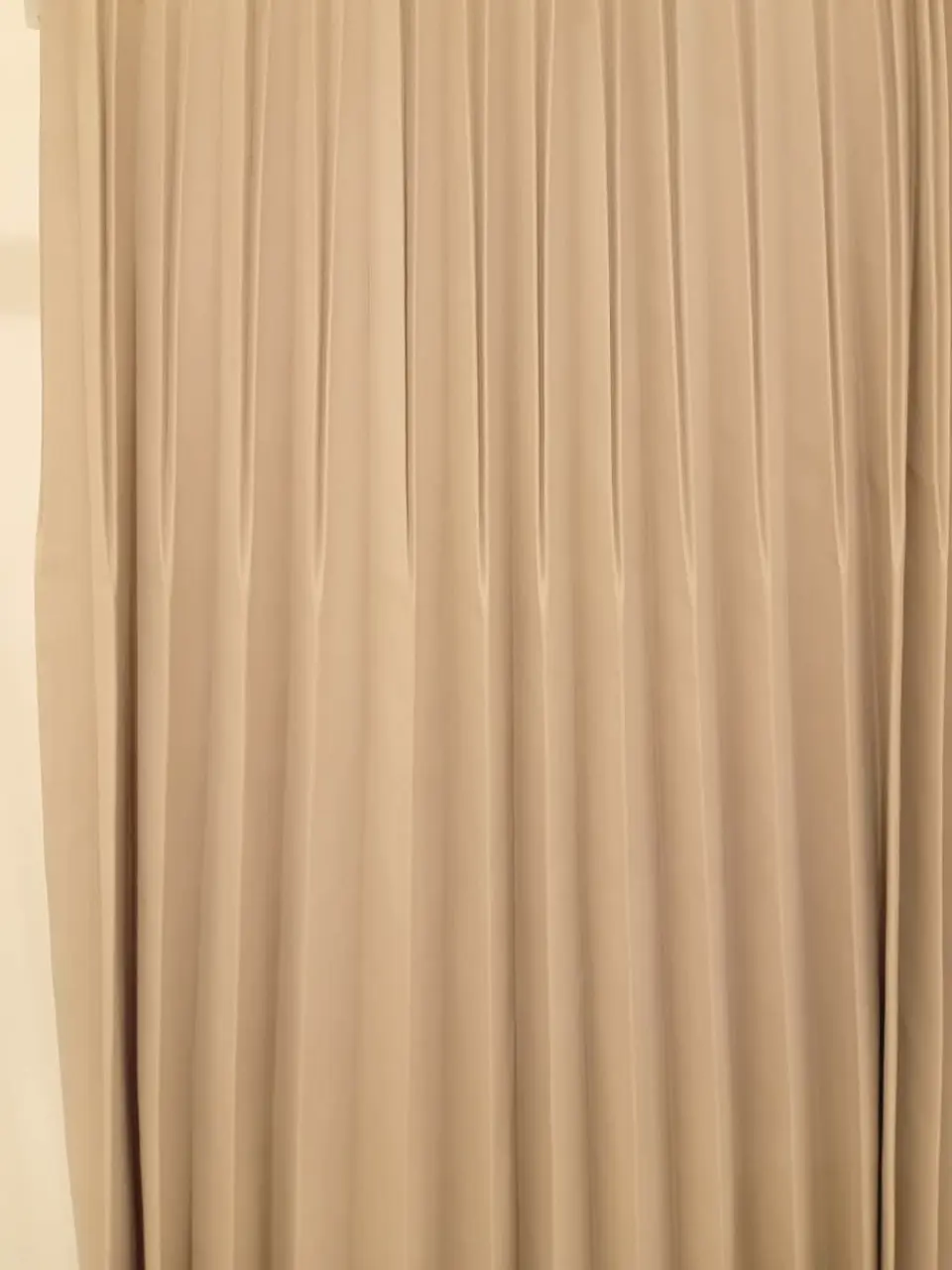 ANY M コーディネート画像