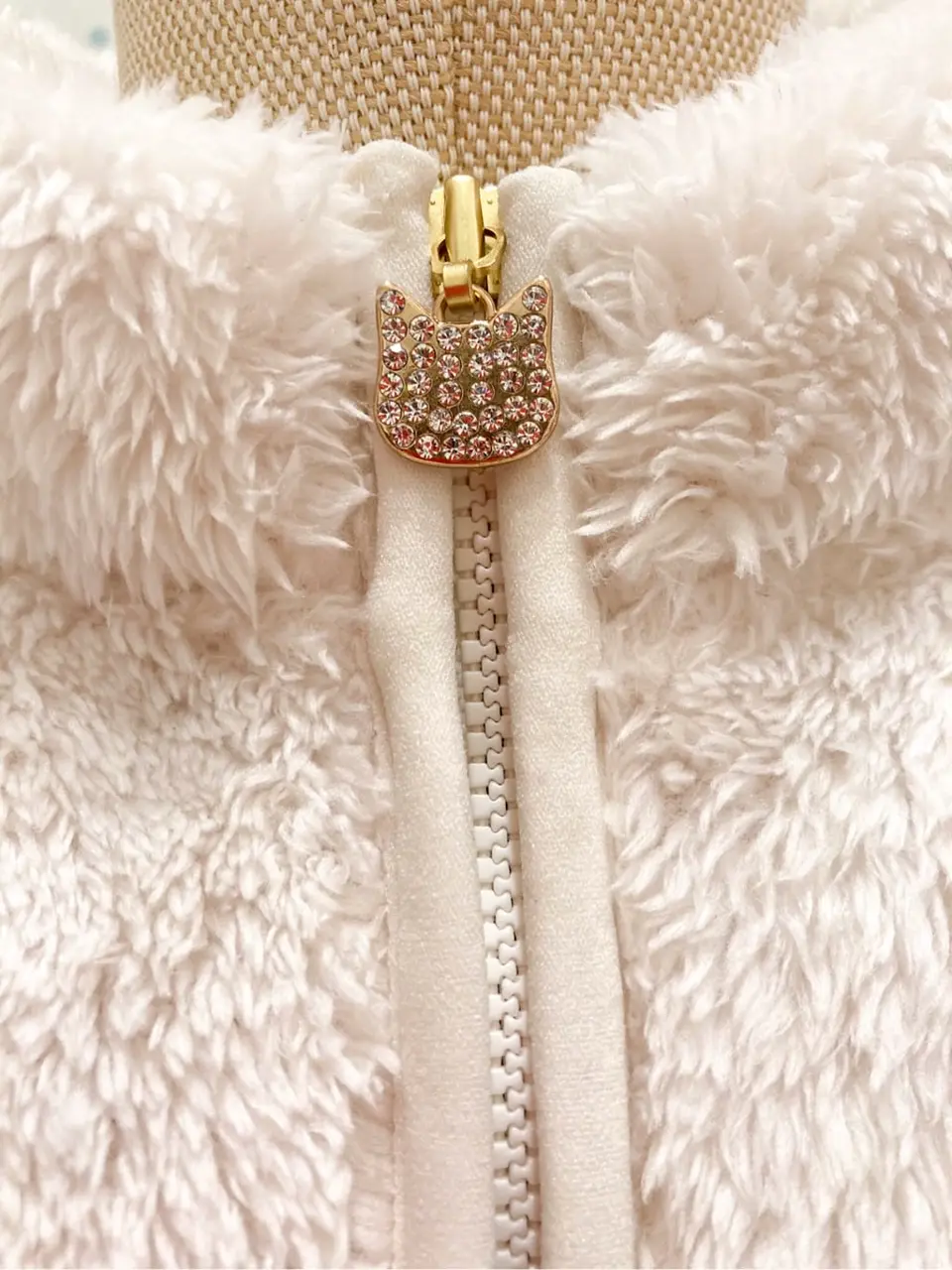 ANY 大野 コーディネート画像