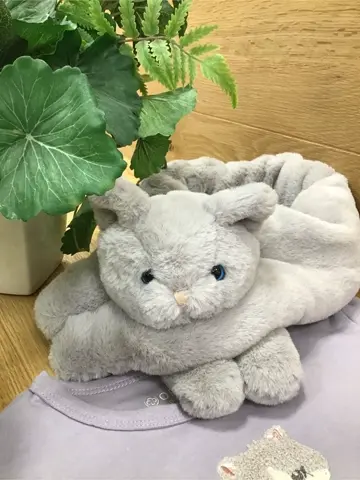 ANY 鈴木 コーディネート画像