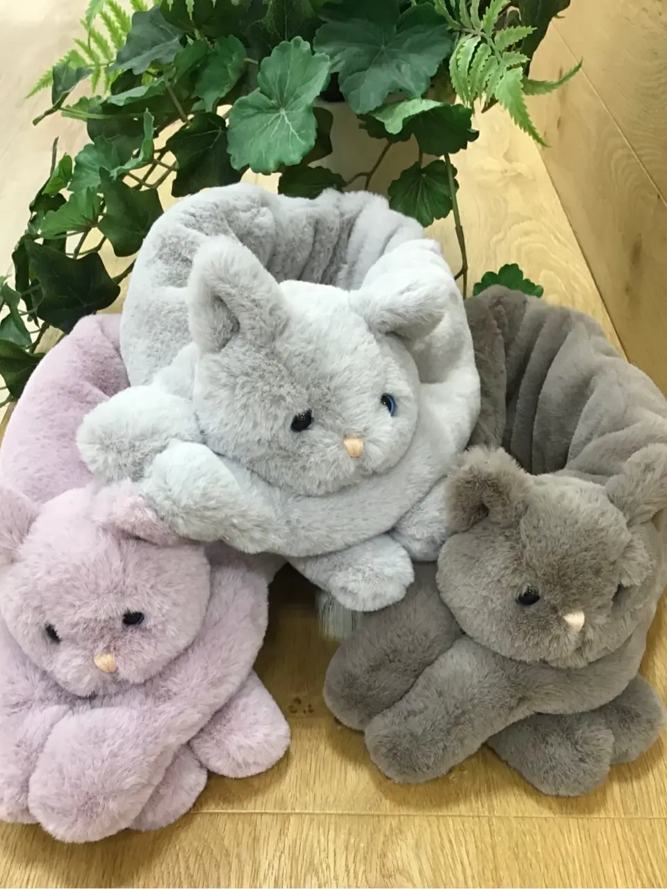 ANY 鈴木 コーディネート画像