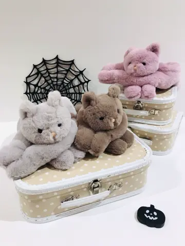 ANY 田口 コーディネート画像