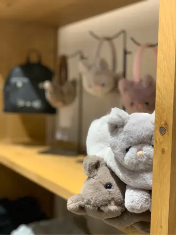 ANY Y コーディネート画像