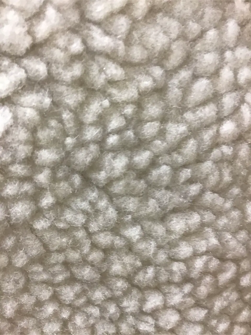 ANY 内田 コーディネート画像